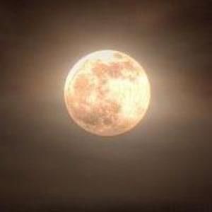 Meet your Posher, Yana